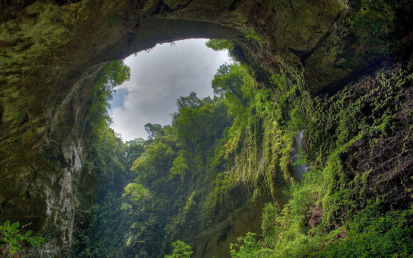 Regenwald, Amazonas HD-Hintergrundbild
