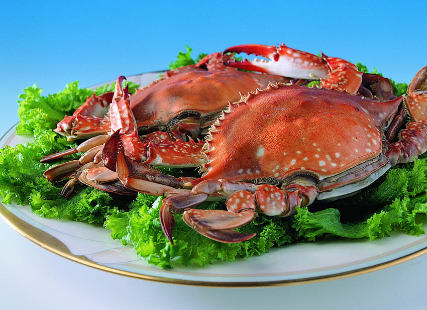 : food, fish, Plate, crabs, seafood, cabbage, parsley, dish, invertebrate, animal source foods, decapoda, crustacean, dungeness crab, spiny lobster, king crab, soft shell crab 3298x2393 HD wallpaper
