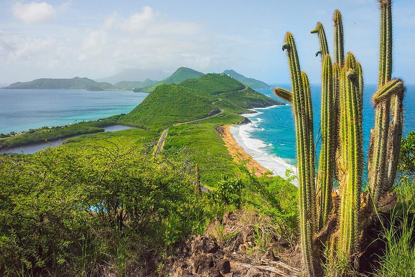 nature, Landscape, Beach, Cactus, Hill, Sea, Caribbean, Island, caribbean island HD wallpaper