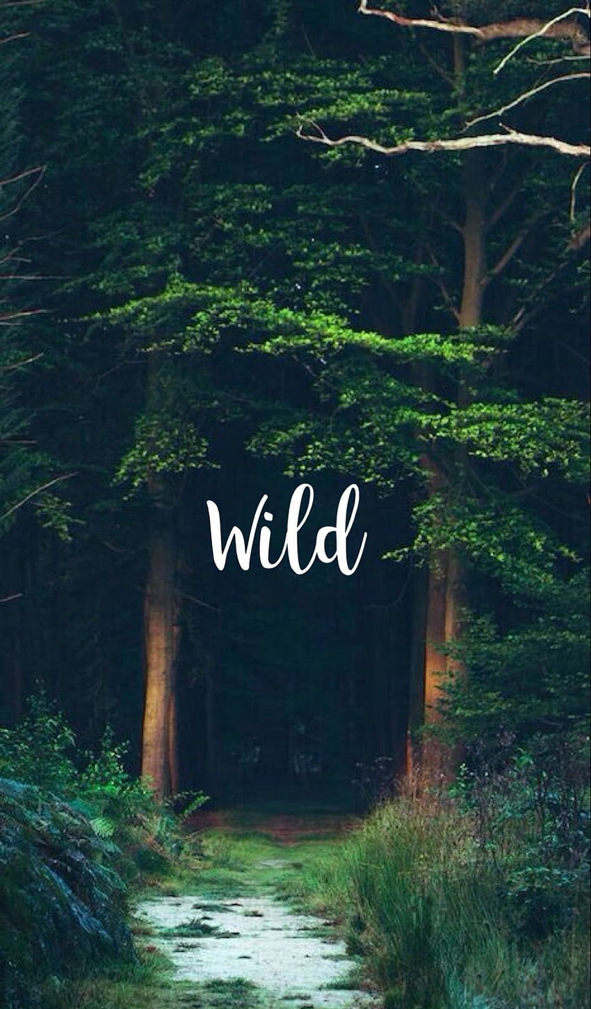 Step out into the wild today, its fabulous for the mind, body and, into the wild iphone HD phone wallpaper