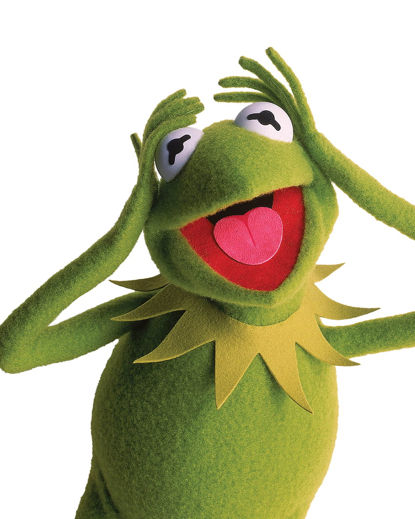 Kermit The Frog From The Muppets ...itl.cat, kermit the frog supreme HD phone wallpaper