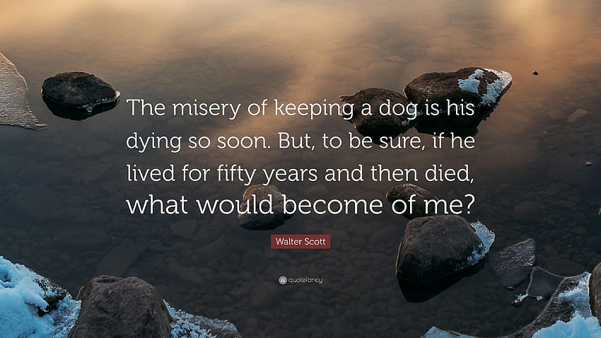 Walter Scott Quote: “The misery of keeping a dog is his dying so soon. But, to be sure, if he lived for fifty years and then died, what would...” HD wallpaper