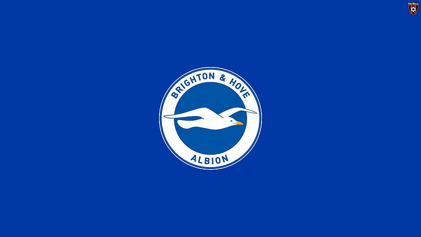 Brighton And Hove Albion, brighton hove albion fc HD wallpaper