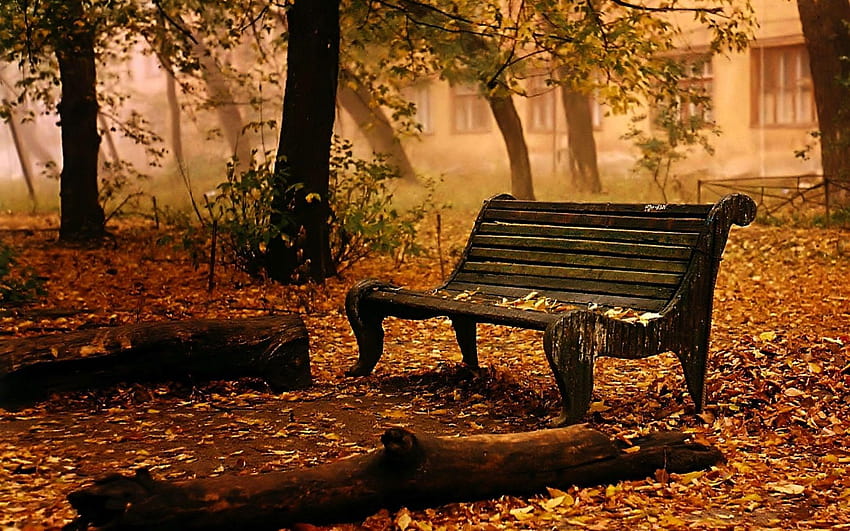 Landscapes bench chair seat autumn fall leaves trees mood HD wallpaper