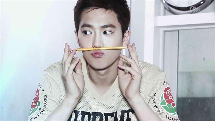 EXOTICS: WE ARE ONE! WE LOVE EXO!: ♥ EXOTICS ♥, suho exo HD wallpaper
