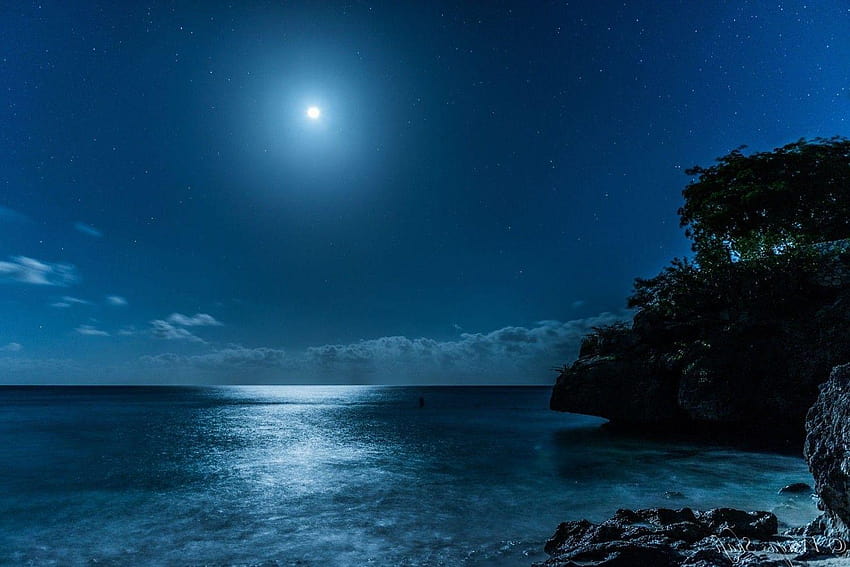 landscape, Nature, Caribbean, Sea, Starry Night, Moon, Moonlight, stary in blue HD wallpaper