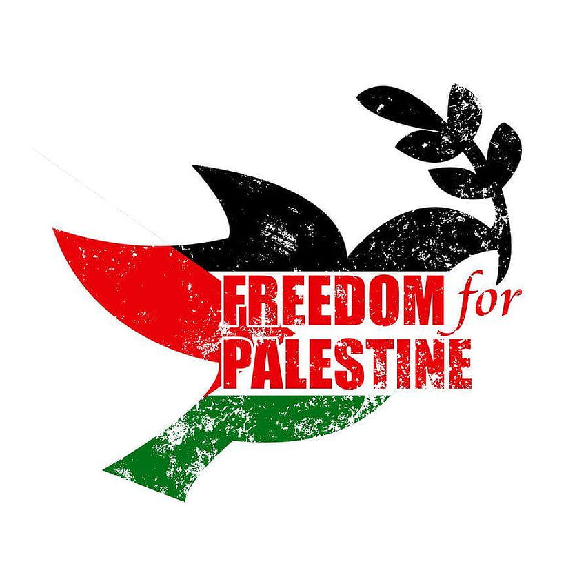 dom for Palestine by TeacherYanie, dom palestine HD phone wallpaper