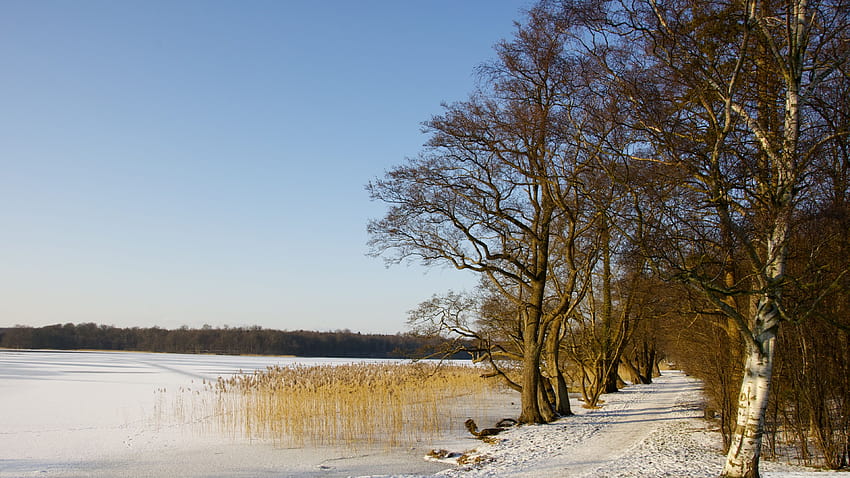 Denmark winter HD wallpaper | Pxfuel