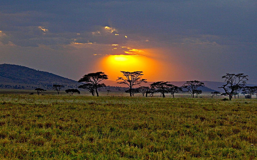 Sunsets: Sunset Africa Kenya Savannah Sunrise Iphone for, african savanna HD wallpaper