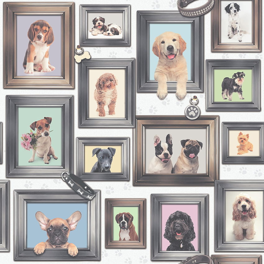 temática animal, marco, collage, perro, canidae fondo de pantalla del teléfono
