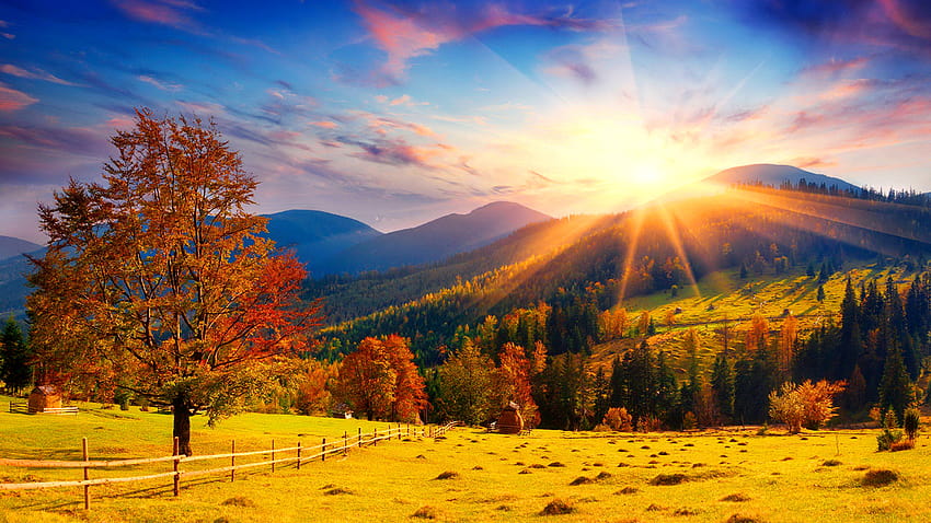 Sun Autumn Nature Sky Hill Fields landscape 2560x1440, autumn forest  sunlight horizontal HD wallpaper | Pxfuel