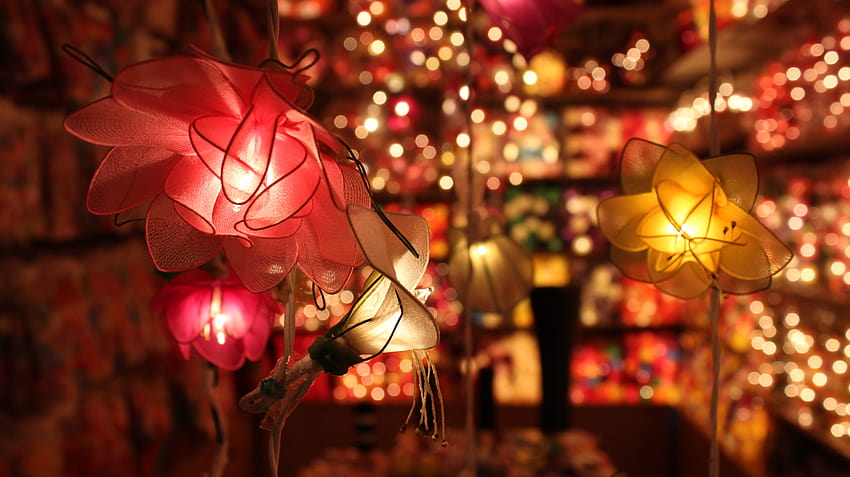 : branch, light, night, leaf, holiday, lighting, decor, flowers, christmas decoration, fete, lamps, event, tradition, christmas lights, mid autumn festival, computer 5184x2912, autumn decoration HD wallpaper