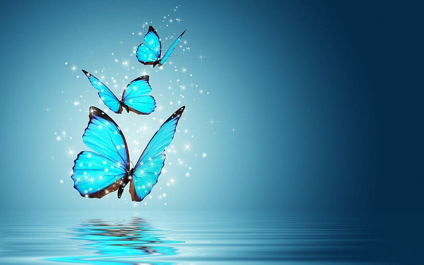 Blaue Schmetterlings-Hintergründe, Hintergrundschmetterling HD-Hintergrundbild