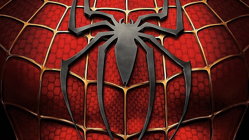 Hewan Untuk > Spider Man, spiderman Wallpaper HD