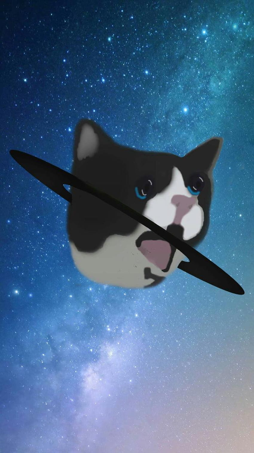 As requested by a comment here's a crying cat meme HD phone wallpaper