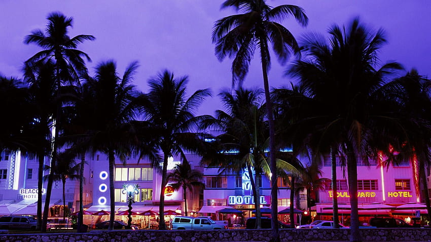: malam, neon, resort, musim panas, senja, Miami, pohon, penerangan, 1920x1080 px, arecales 1920x1080, pencahayaan musim panas Wallpaper HD