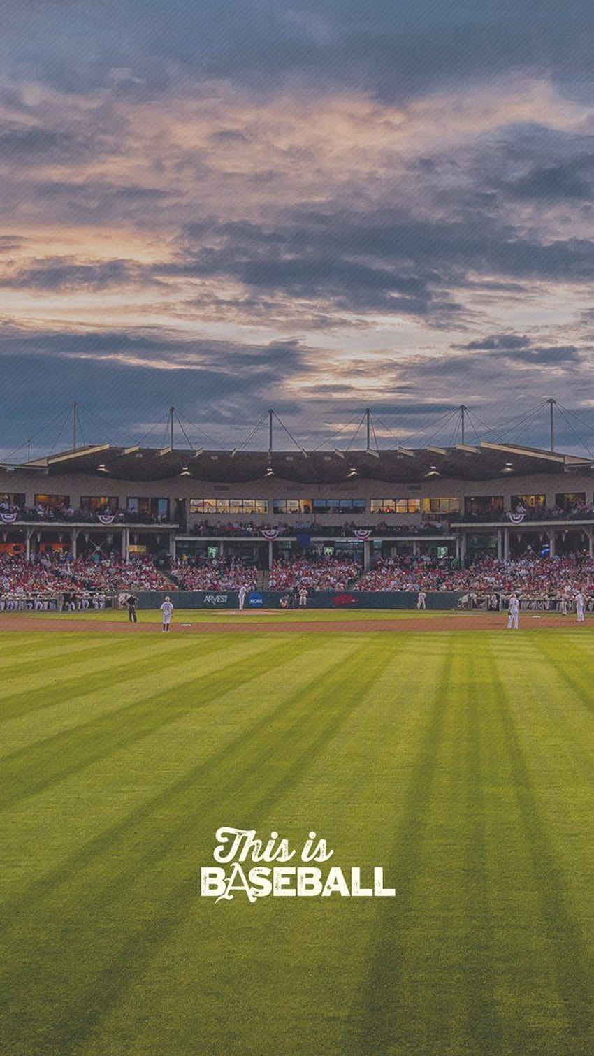 Arkansas Baseball on Twitter:, arkansas razorbacks baseball wallpaper ponsel HD