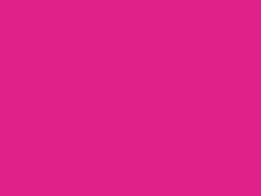 바비 핑크 단색 배경, 핑크 폴로 배경 HD 월페이퍼
