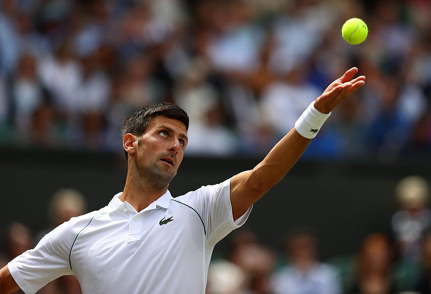 Novak Djokovic, Roger Federer e una coppia di canadesi avanzano ai quarti di finale di Wimbledon, Novak Djokovic campione di Wimbledon 2021 Sfondo HD
