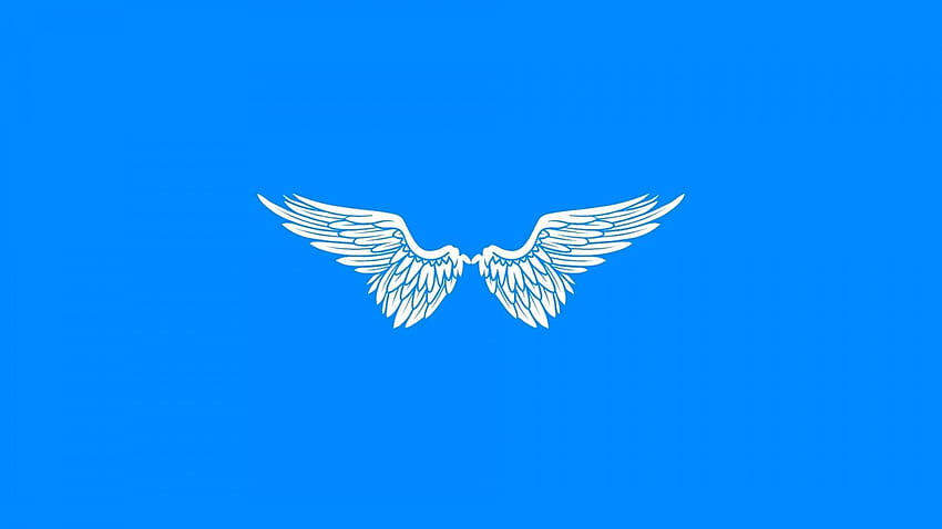 : ilustración, alas, ángel, ave de rapiña, águila, ala, pájaro posado 1920x1080, alas de águila fondo de pantalla