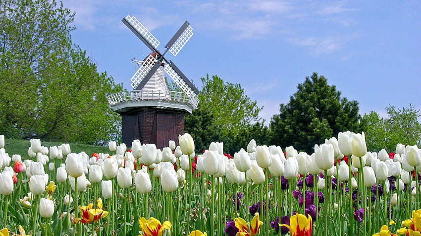 Keukenhof - một trong những điểm đến du lịch nổi tiếng ở Hà Lan - luôn được yêu thích với những bông hoa đủ màu sắc và hương thơm ngát. Còn giờ đây, bạn có thể mang một chút Keukenhof vào cuộc sống của mình với hình nền Keukenhof HD tuyệt đẹp.