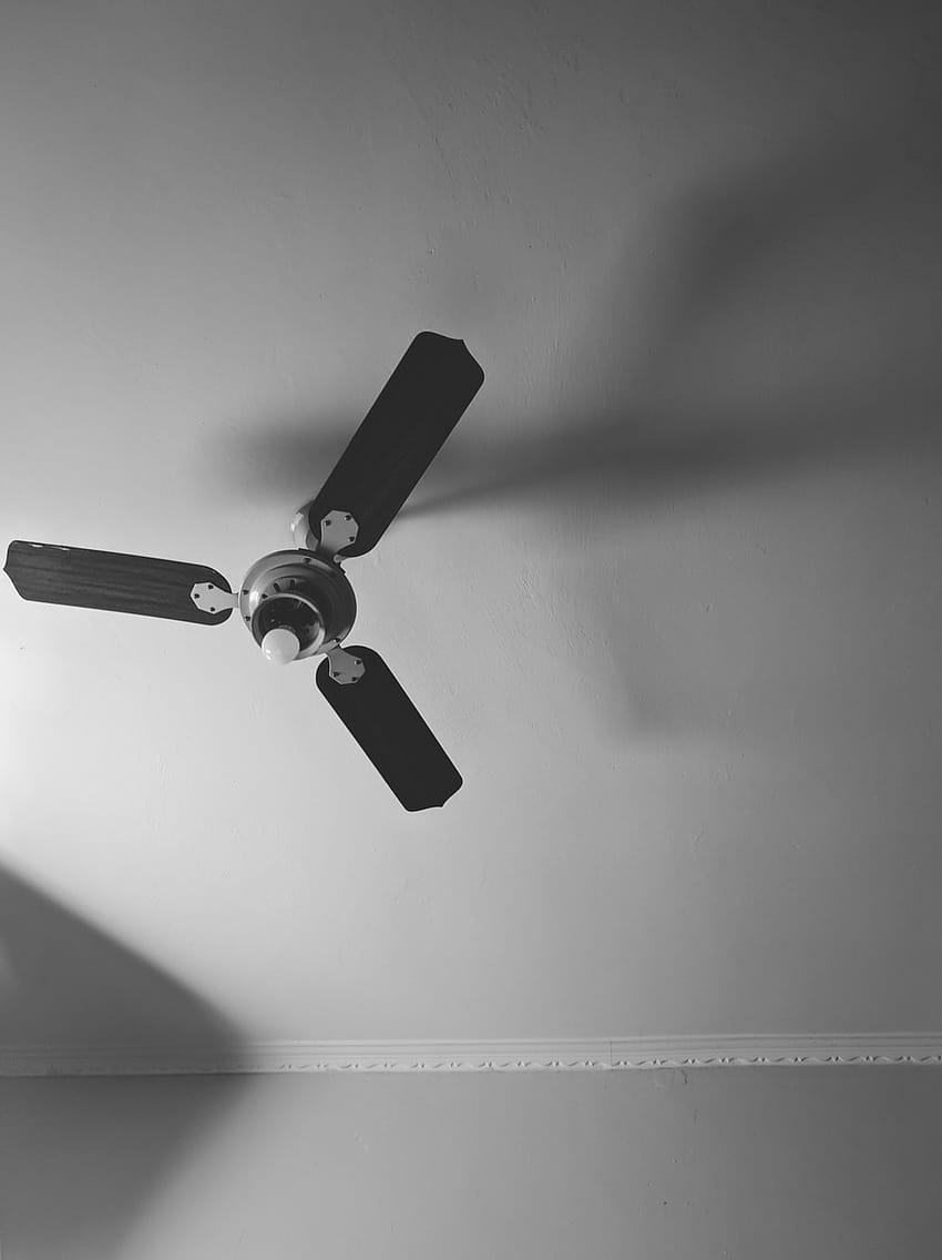 white 4 blade ceiling fan – Grey HD phone wallpaper