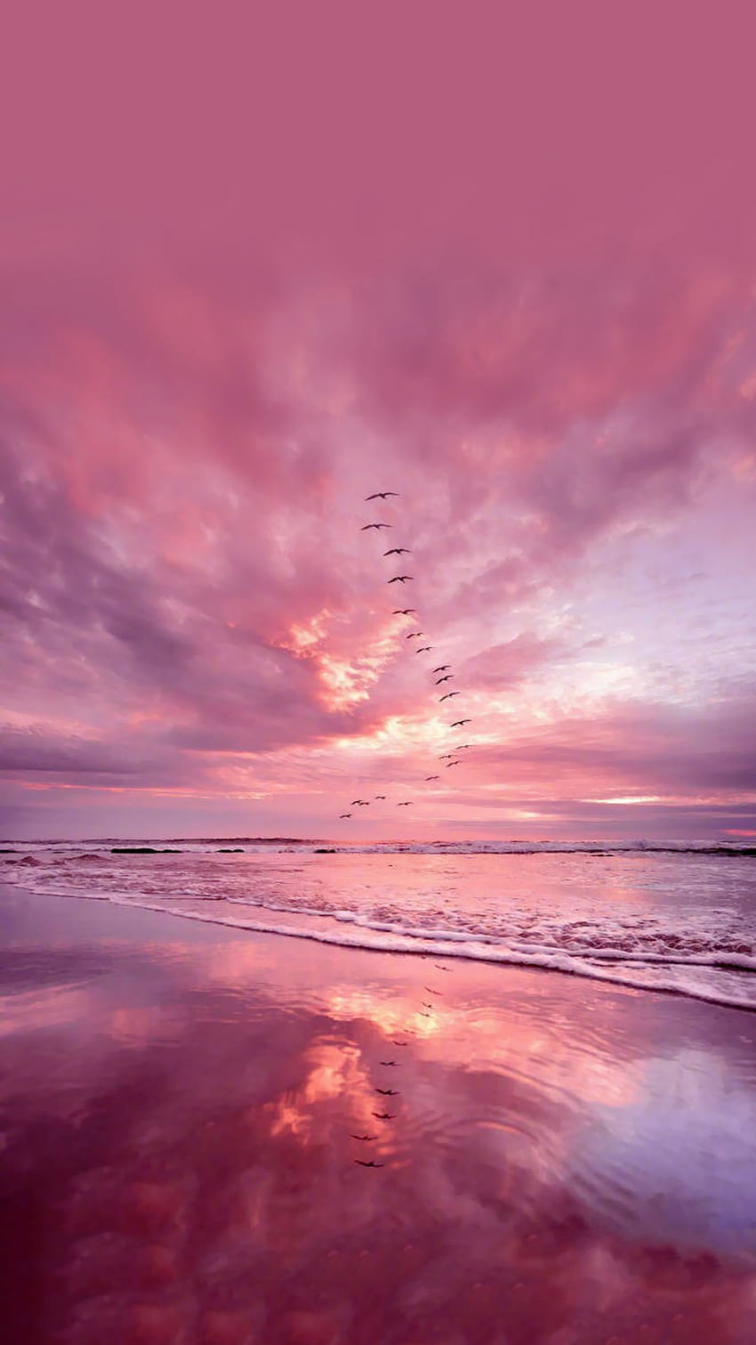 Rosa Meeres- und Vogelhintergründe, ästhetische rosa Wolken und Meer HD-Handy-Hintergrundbild