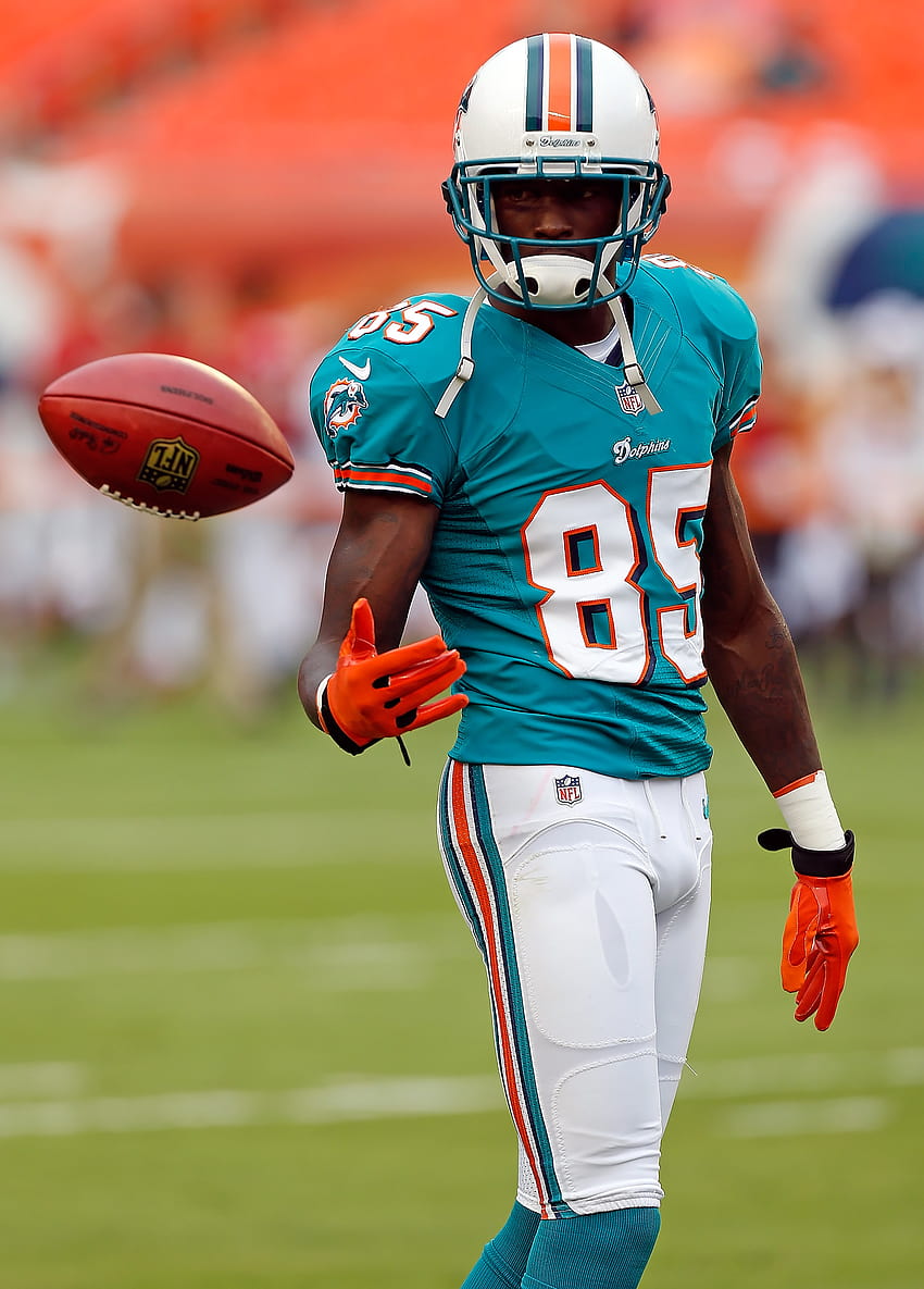 This Date In Transactions History: Dolphins Sign Chad Johnson, chad ochocinco HD phone wallpaper