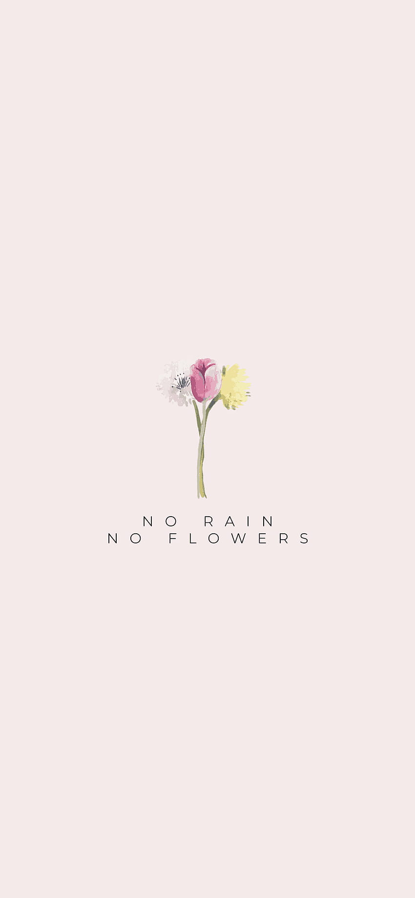 No Rain No Flowers via Krista Smith at ActivateHerAwesome HD phone wallpaper