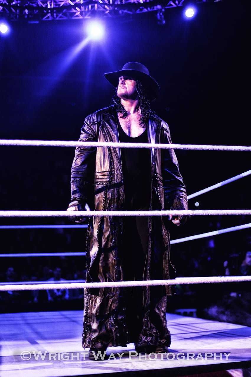 Undertaker dead . 18 Best Undertaker in, mark william calaway HD phone wallpaper