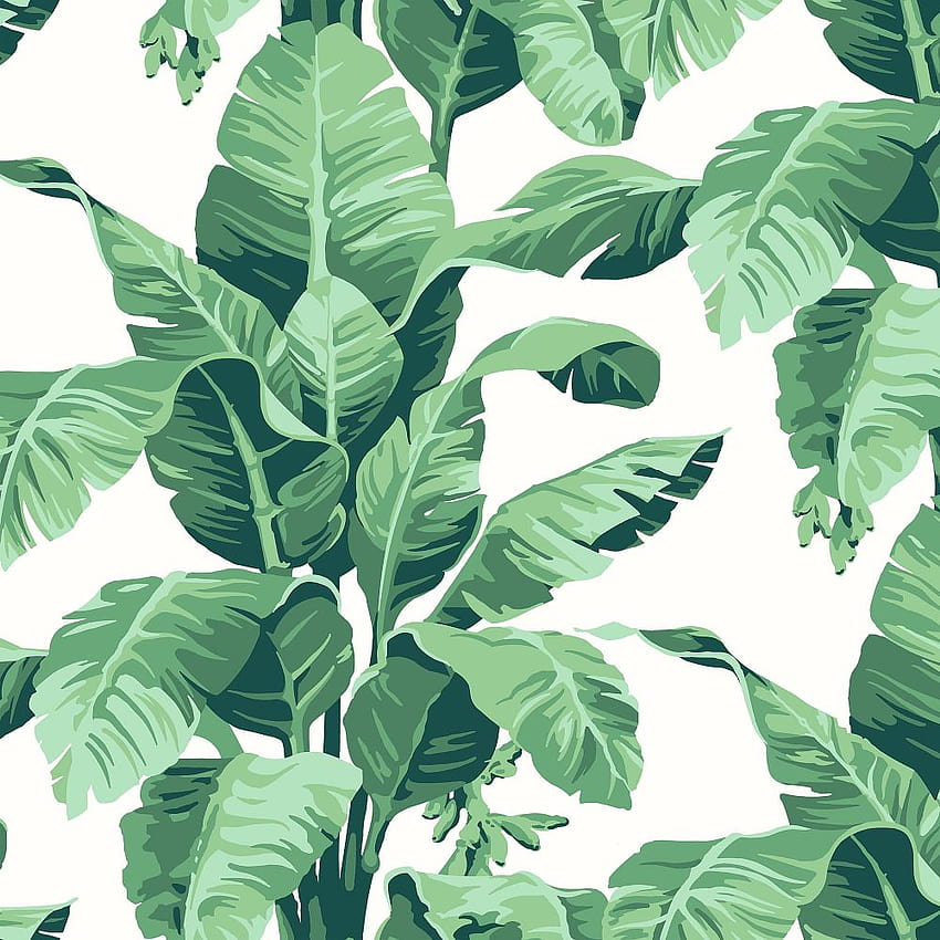 Wallshoppe Tropical Leaf Print Removable, tropical pattern HD phone ...