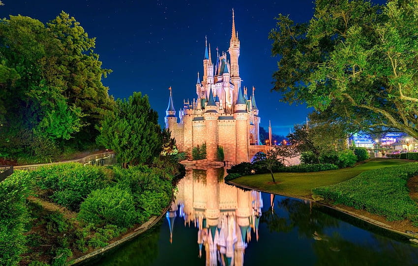 El cielo, las estrellas, los árboles, el parque, el río, los Estados  Unidos, Disneyland, el castillo de cenicienta de disney world fondo de  pantalla | Pxfuel
