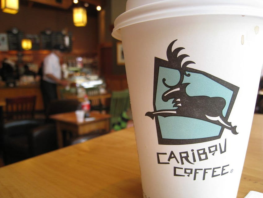 Caribou Coffee Are Quickly Becoming the Stars of the Pandemic With Their Hilarious Drink Sleeve Quips HD wallpaper