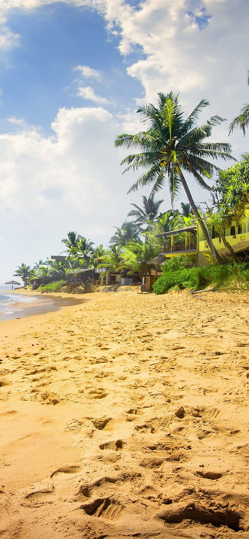 Boat, beach, sea, palm trees, tropical 1242x2688 iPhone 11 Pro/XS, boat beach trees sunlight HD phone wallpaper