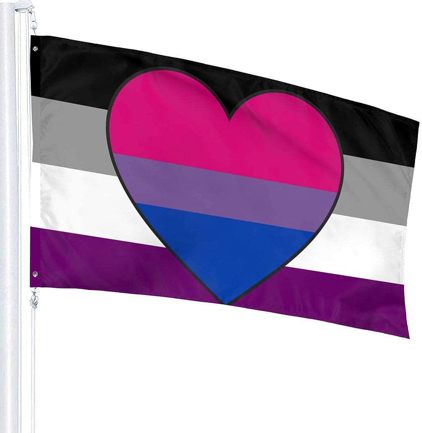 Amazon : MINIOZE Biromantic Asexual Bi Romantic Ace Pride Flag Themed Welcome Party Outdoor Outside Decorations Ornament Picks Home House Garden Yard Decor 3 X 5 Ft Small Flag : Garden & Outdoor HD phone wallpaper