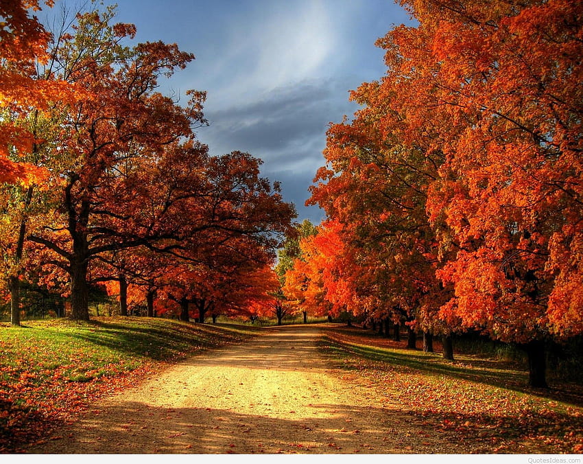 Autumn backgrounds with quotes, autumn leaves and landscapes HD ...