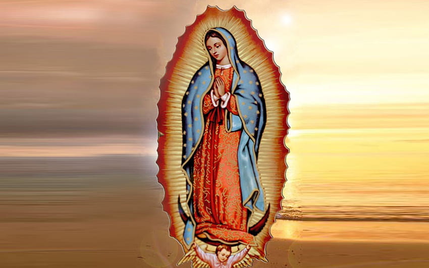Virgen De Guadalupe With Roses, la Rosa de Guadalupe Tapeta HD
