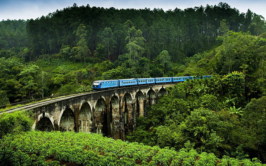 Sri Lanka, ferrovia, ponte, trem, plantação papel de parede HD
