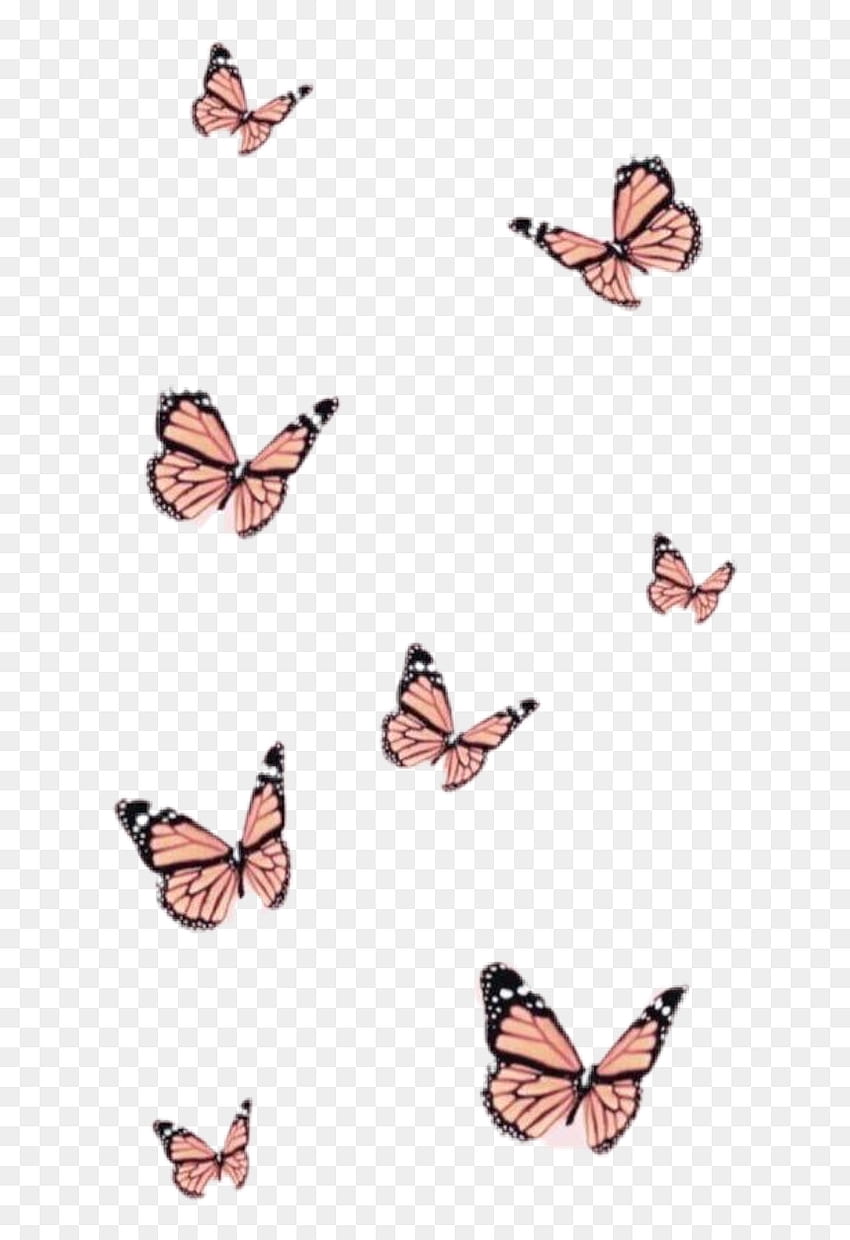 Естетична пеперуда, Png HD тапет за телефон