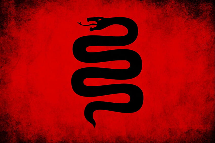 반지 플래그의 제왕 뱀 간단한 배경 빨간색 배경 1920x1280 고품질, 고화질, 붉은 뱀 HD 월페이퍼