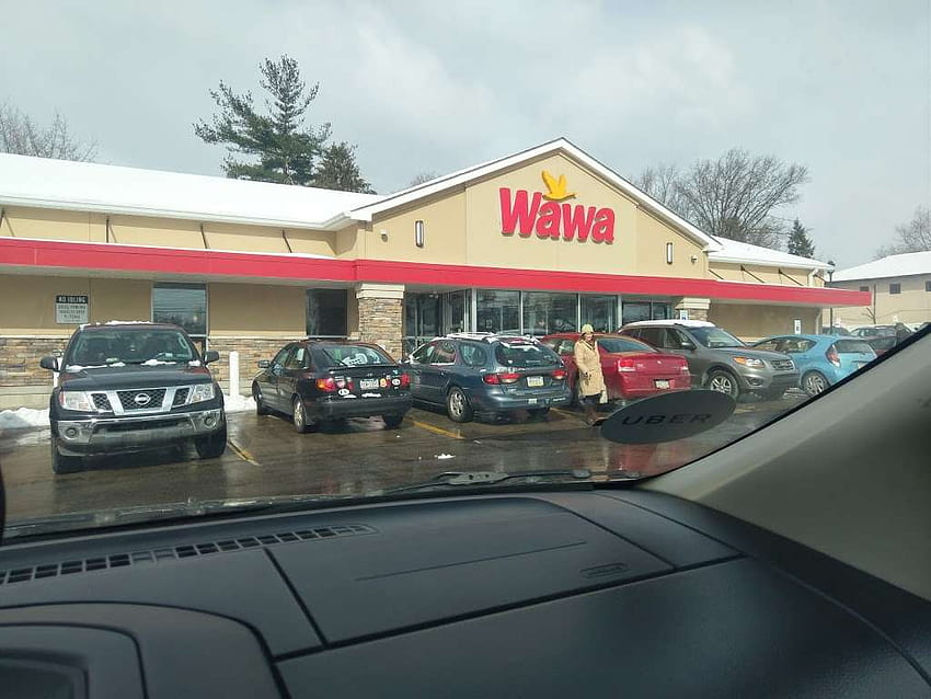 wawa wyncote pa