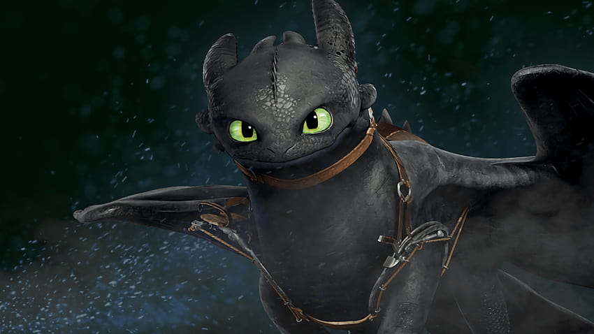 Made a Toothless with a friend. : httyd HD wallpaper