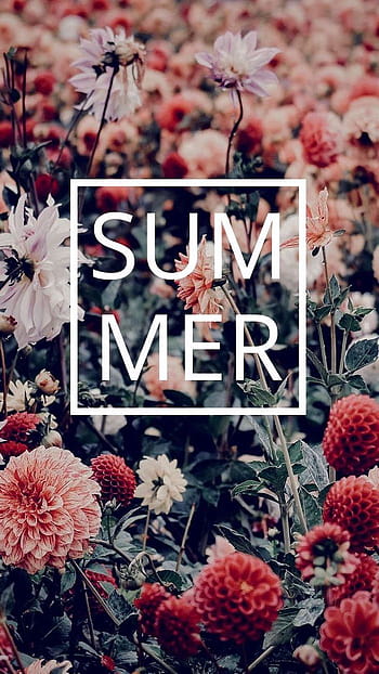 Hot summer mobile HD wallpapers | Pxfuel