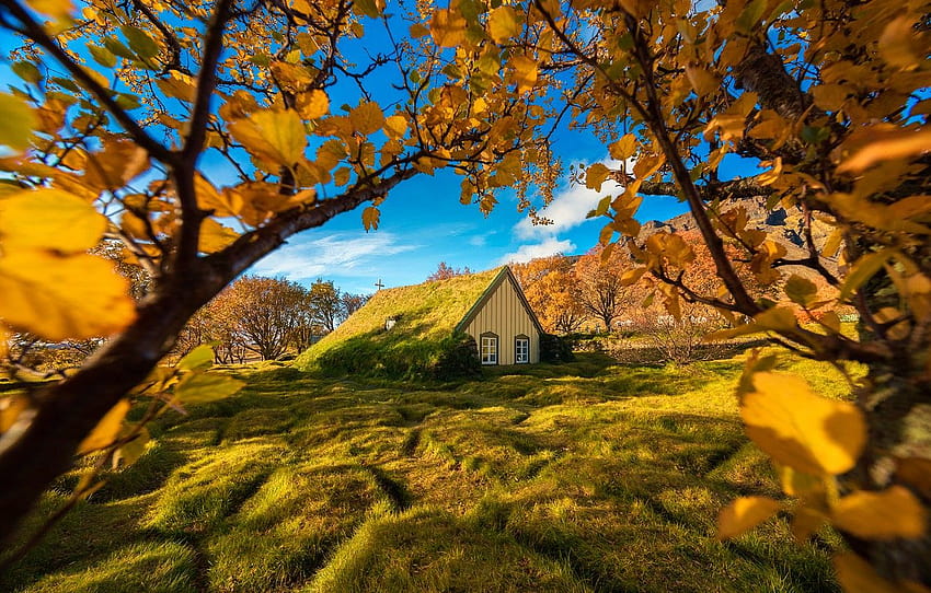 autumn, trees, branches, Iceland, Iceland, The yard, Hof, sod Church, Turf Church , section пейзажи HD wallpaper