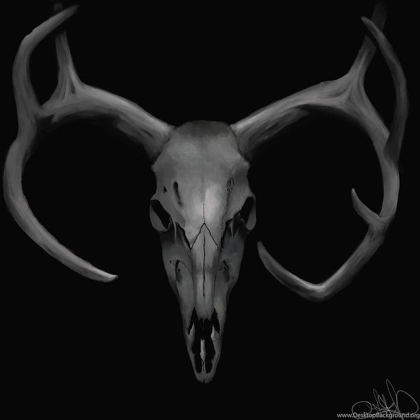 Jestingstock Deer Skull Backgrounds HD phone wallpaper