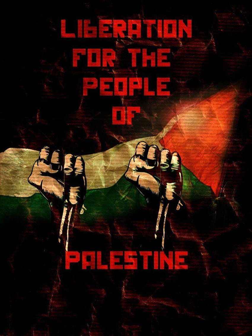 dom to Palestine by renjikuchiki1, dom palestine HD phone wallpaper