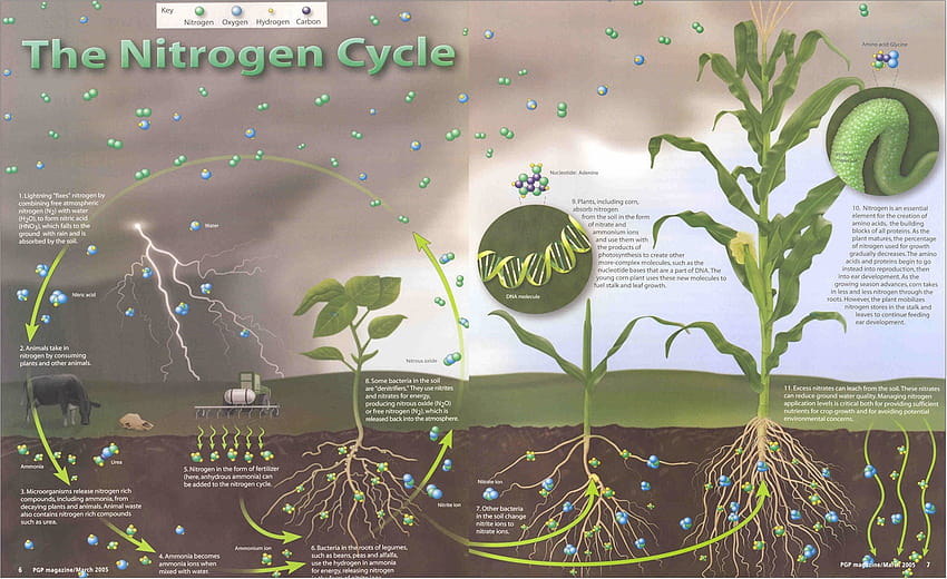 Fertilizing – Why do they do that?, fertilizer HD wallpaper