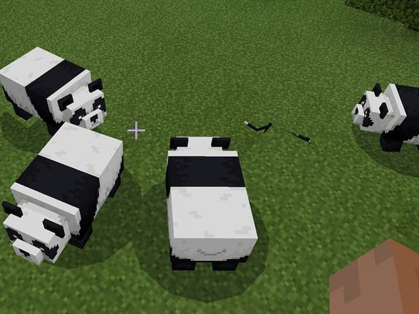 Minecraft' 1.8 Patch Notes: New Achievements, Revamped Cats and Pandas, panda minecraft HD wallpaper