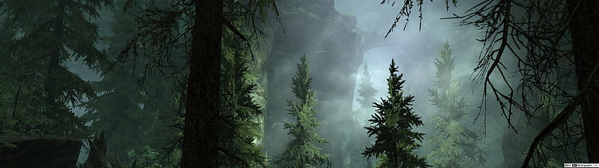 Forest Fog, 5120x1440 dark winter HD wallpaper