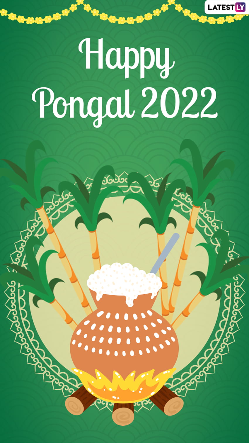 Happy Pongal 2022: , Greetings, Wishes and Messages For Loved Ones ...